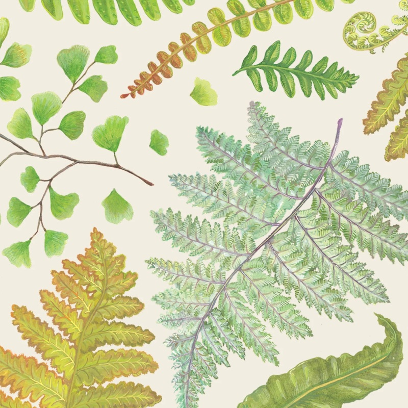 Hester & Cook Fern Cocktail Napkins