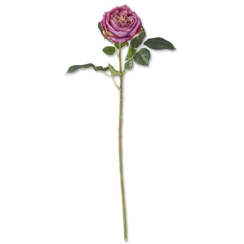 Dark Purple Real Touch Austin Rose Stem 24"