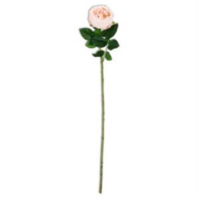 Peach Real Touch Austin Rose Stem 24"