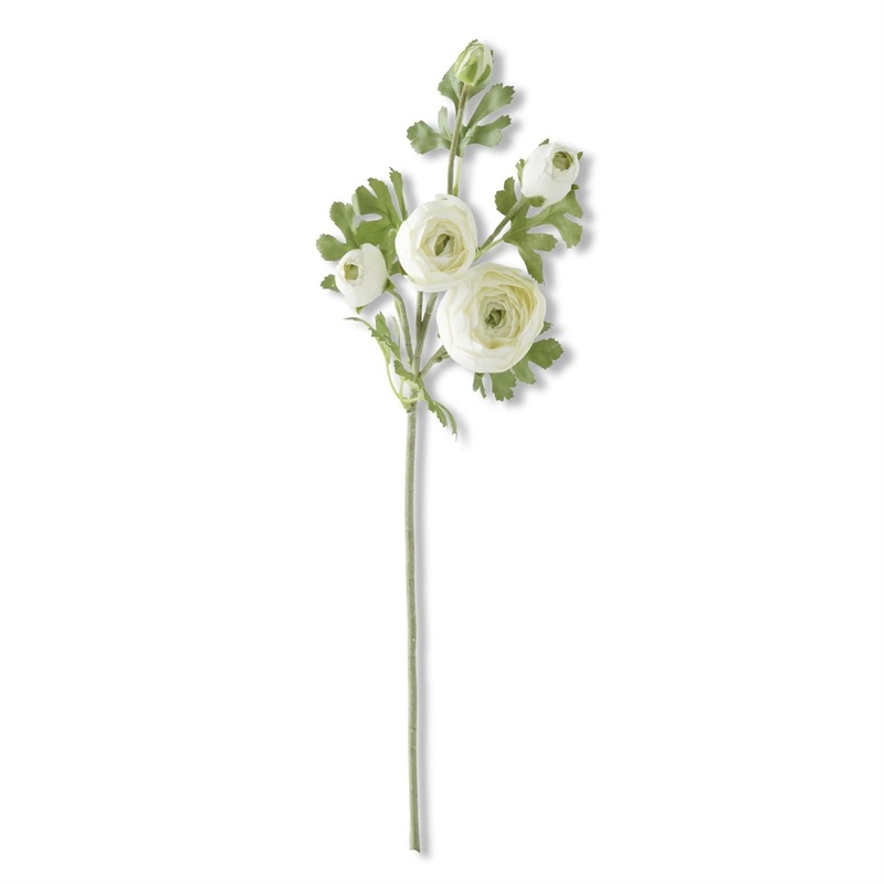 White Real Touch 5 Head Ranunculus Stem 24.5"